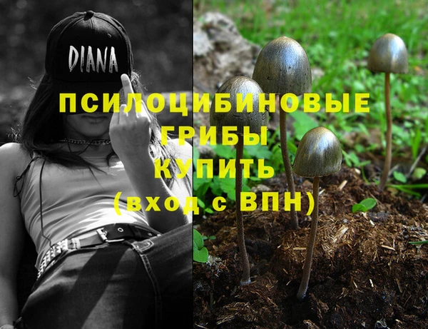 MDMA Premium VHQ Белокуриха