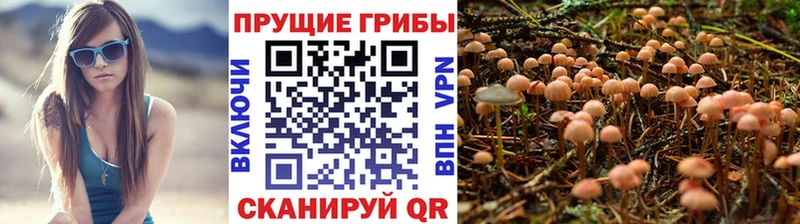 Купить  Реж  Псилоцибиновые грибы прущие грибы 